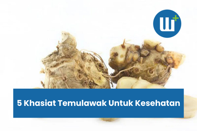 5 Khasiat Temulawak Untuk Kesehatan